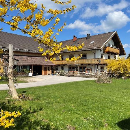 Ferienwohnungen Dopplerhof Piding Ngoại thất bức ảnh