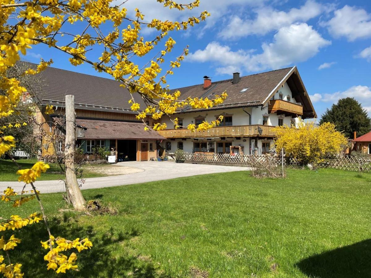 Ferienwohnungen Dopplerhof Piding Ngoại thất bức ảnh